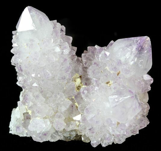 Cactus Quartz (Amethyst) Crystals - South Africa #47184